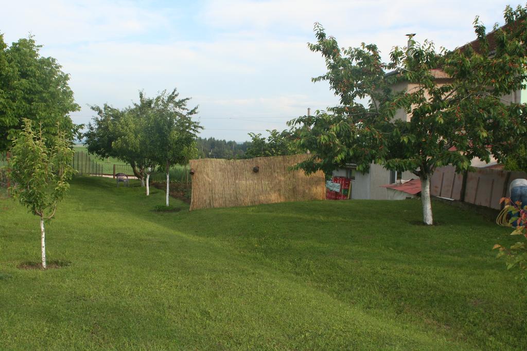 Guest House Edelvais Dve Mogili Exterior photo