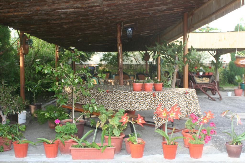 Guest House Edelvais Dve Mogili Exterior photo
